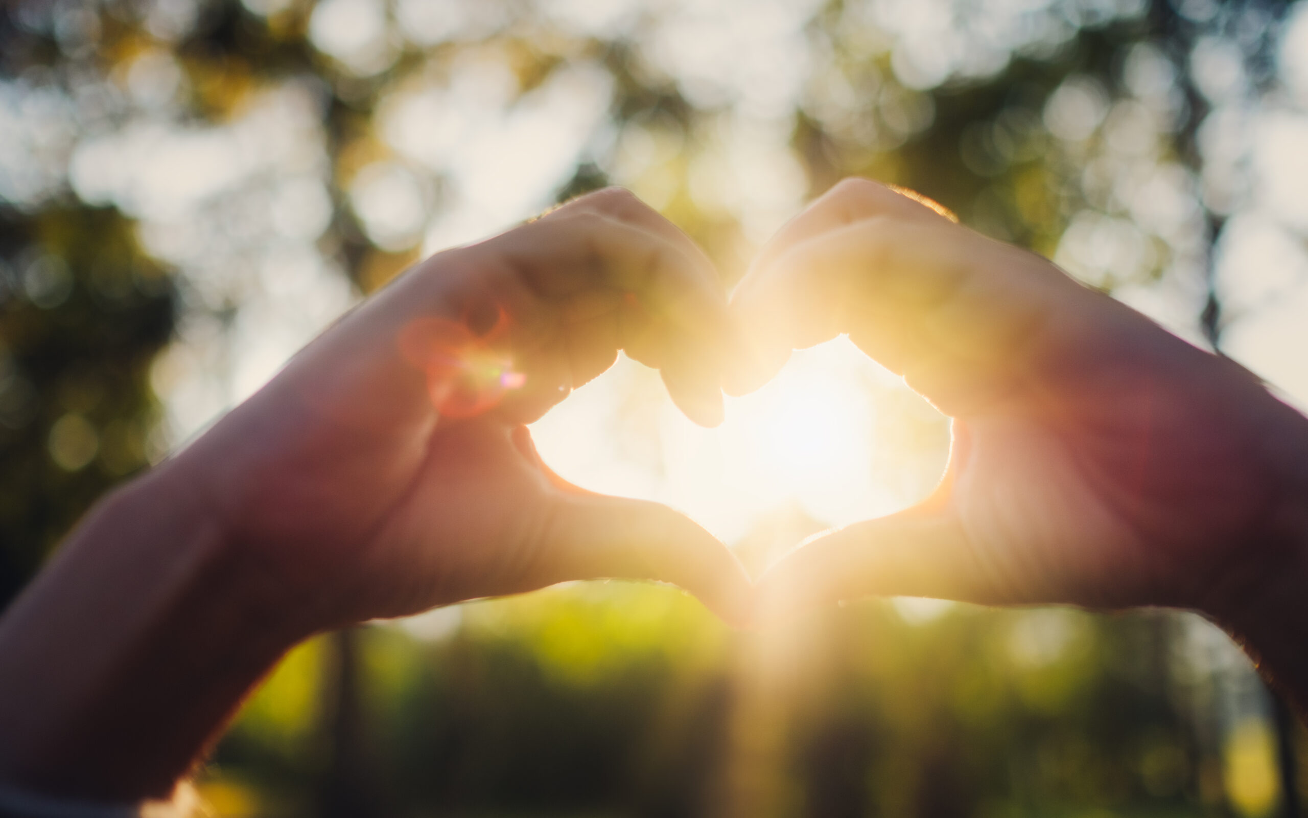 Closeup image of sunlight shining through heart hands sign with